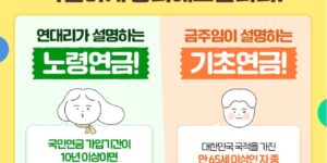 국민연금 노령연금 기초연금의 차이를 설명하기위한 이미지