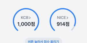 신용점수 이미지