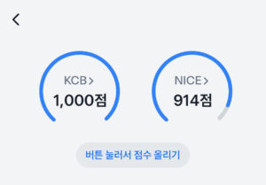 신용점수가 신용평가 회사마다 다른 이유를 설명하기 위한 이미지