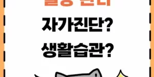당뇨병 혈당관리 자가진단 생활습관 이미지
