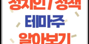 정치인 정책 테마주 알아보기 이미지