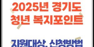 2025년 경기도 청년 복지포인트(신청 자격, 사용처, 자격유지 팁까지!)