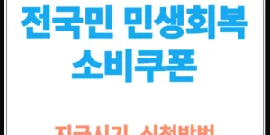 신청 안 하면 못 받습니다! 전국민 민생회복 소비쿠폰 지급시기, 신청방법 총정리