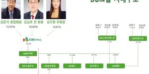 db그룹 지배구조(비 금융 계열사)
