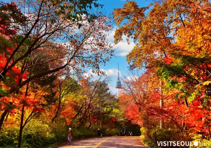 감성 폭발｜남산 둘레길 단풍 데이트