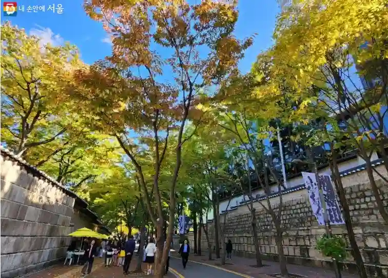 정동길 단풍 정동문화축제