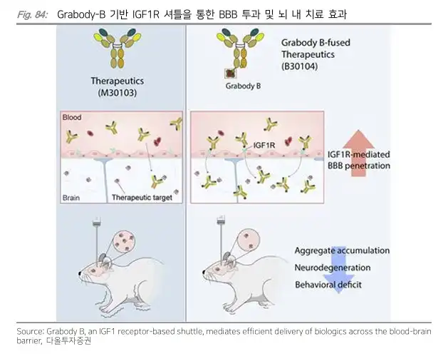 에이비엘바이오(ABL Bio) Grabody-B 기반 IGF1R 셔틀을 통한 BBB 투과 및 뇌 내 치료 효과