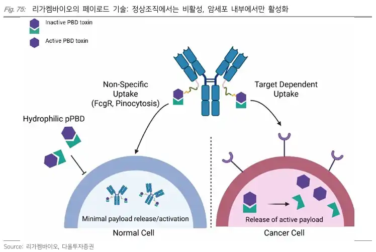 리가켐바이오 페이로드 기술