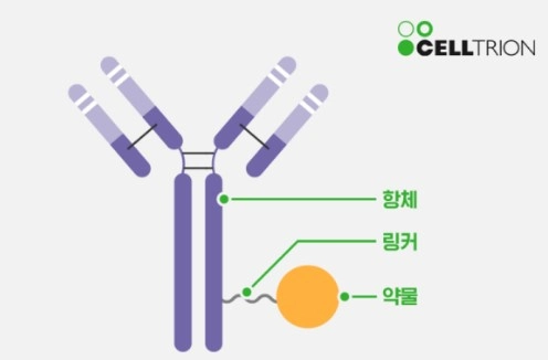 리가켐바이오 항체 약물 접합체 (ADC) 구조